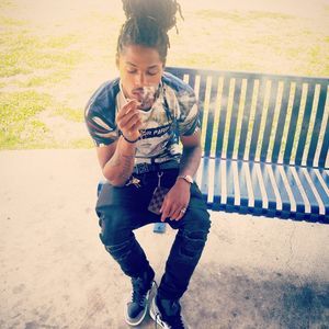 Meet your Posher, Jasper